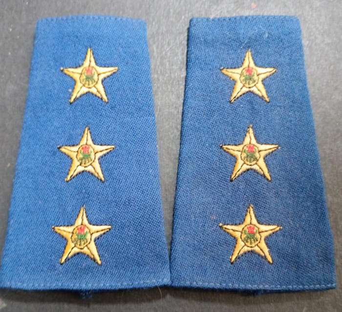 SAP Slip  on Ranks