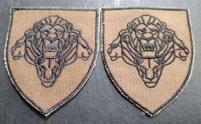 SANDF - Shoulder Flashes