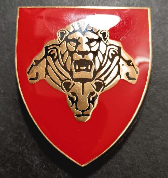SANDF - Pride of the Nation Shoulder Flash
