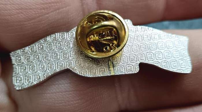 SADF - Air Force Pin Badge