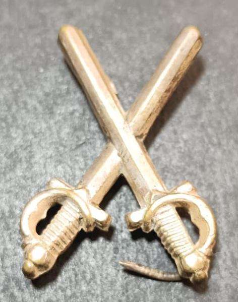 International - Life Guard Dragoons (Sweden) Badge