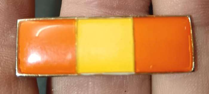SADF - Personnel Services Beret Bar