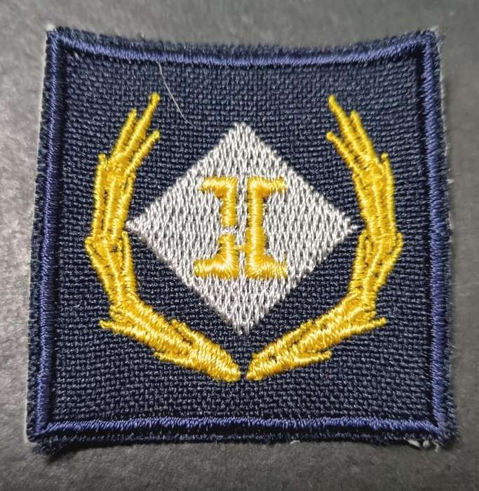 SADF - SAAF Intelligence Breast Badge - Full Size