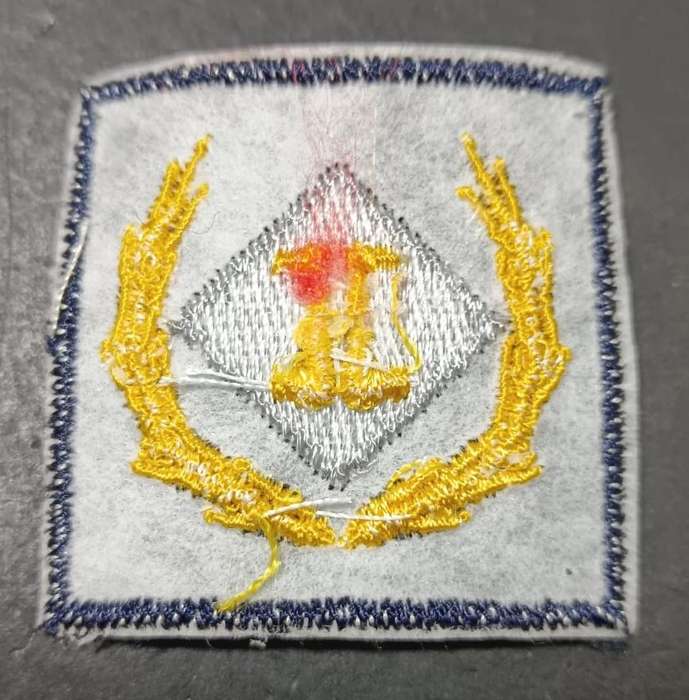SADF - SAAF Intelligence Breast Badge - Full Size
