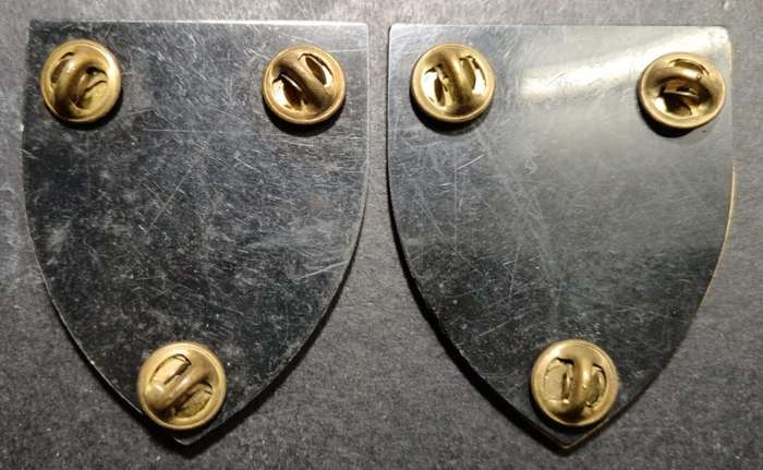 SADF - Army Gymnasium Shoulder Flash Pair