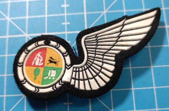 SADF - SAAF Observer Wing