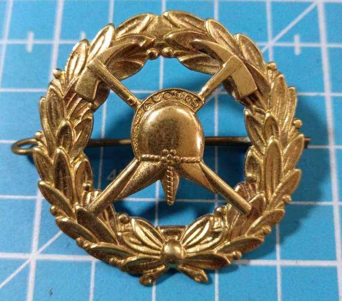South African Fire Brigade Cap Badge