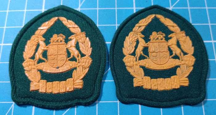 South African Prison Services Rank Pair
