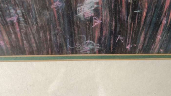 Ornate Framed Print ( Measures 90CM by 80CM ) Cost over R1000.00 more than 30 Years Ago.