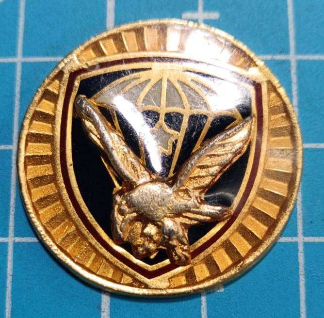 Brasil Commemorative Medal, Parachute Brigade