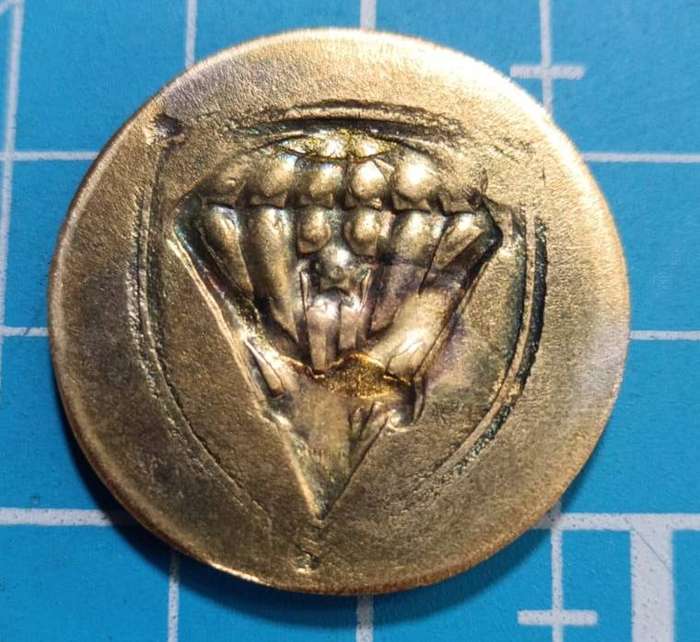 Brasil Commemorative Medal, Parachute Brigade