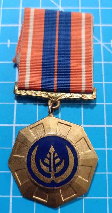 SADF - Full Size Pro Patria Medal ( Swivel - Number 35174 )