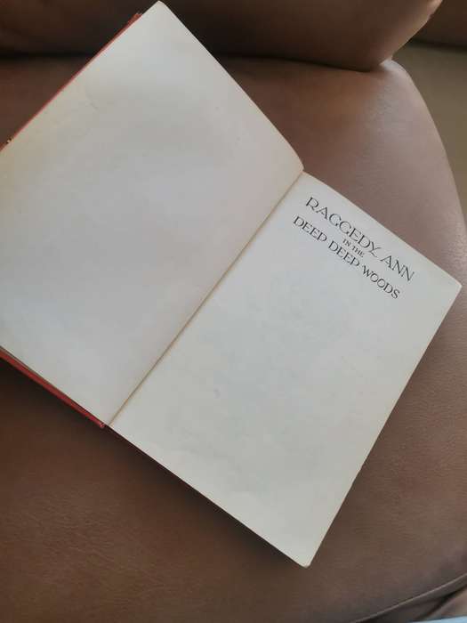 Rare 1930 first edition Raggedy Ann in the deep deep woods by Johnny