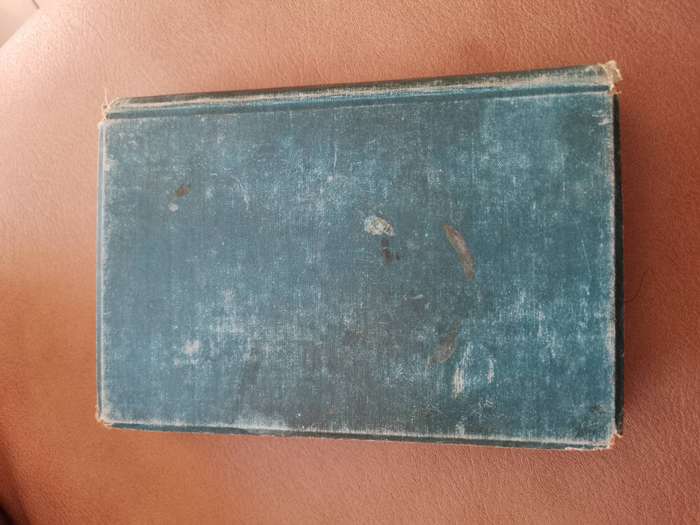 Rare 1899 seven little Australians by Ethel Turner seventh edition