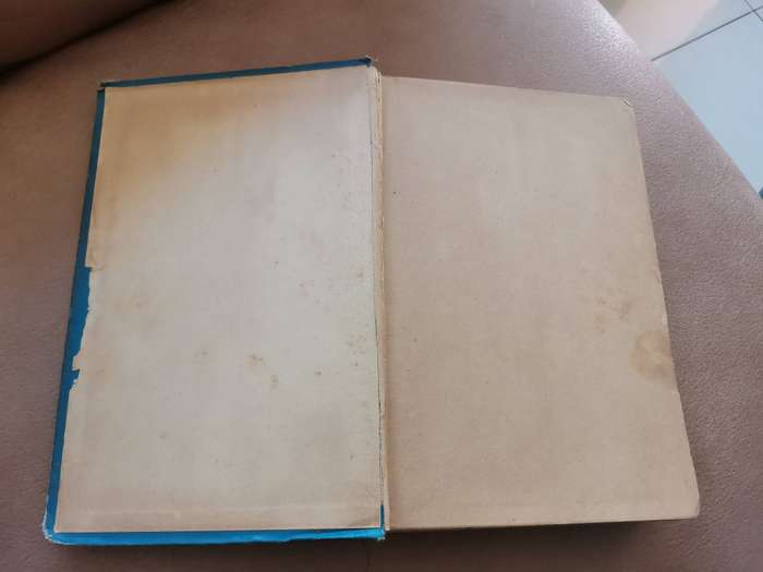 Rare 1899 seven little Australians by Ethel Turner seventh edition