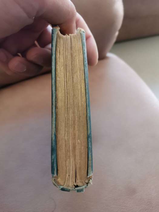 Rare 1899 seven little Australians by Ethel Turner seventh edition