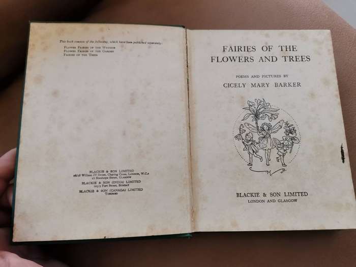 Rare 1927 first edition fairies of the flowers and trees