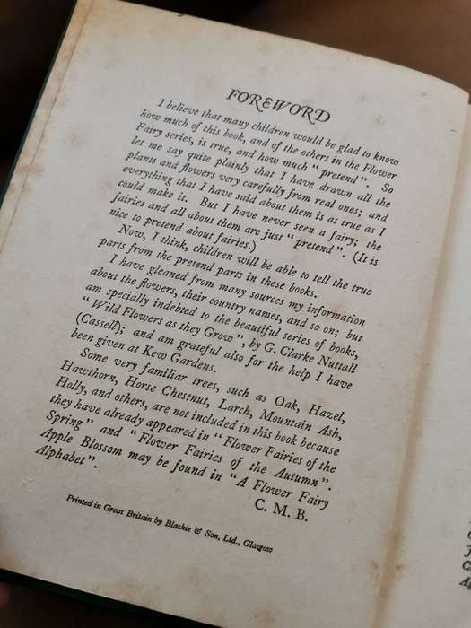 Rare 1927 first edition fairies of the flowers and trees