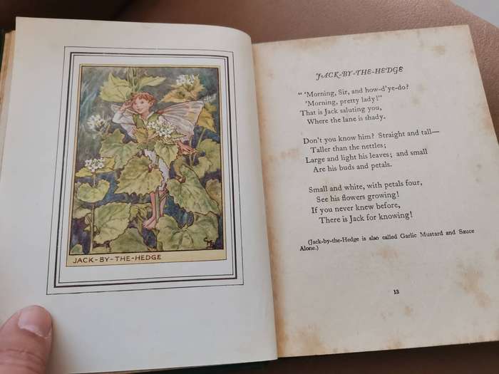 Rare 1927 first edition fairies of the flowers and trees