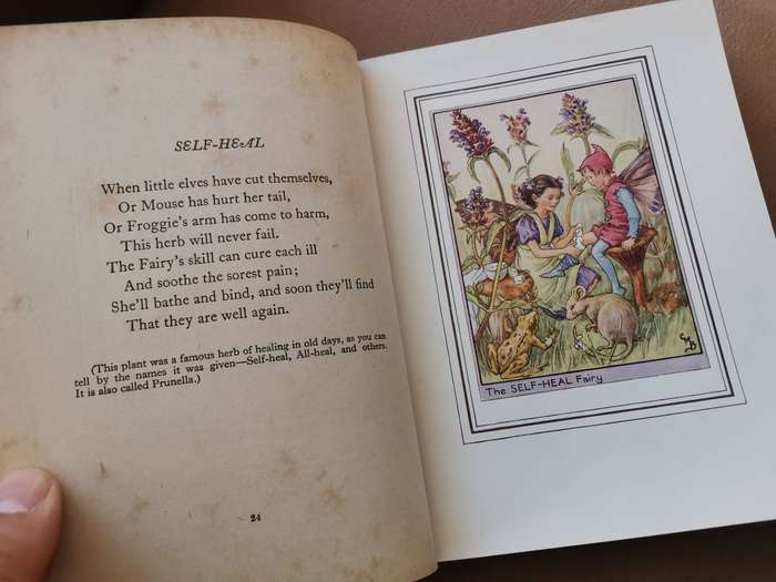 Rare 1927 first edition fairies of the flowers and trees