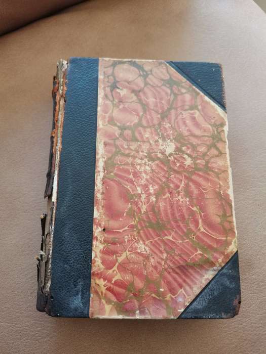 Rare 1880s the wide wide world by Elizabeth wetherell