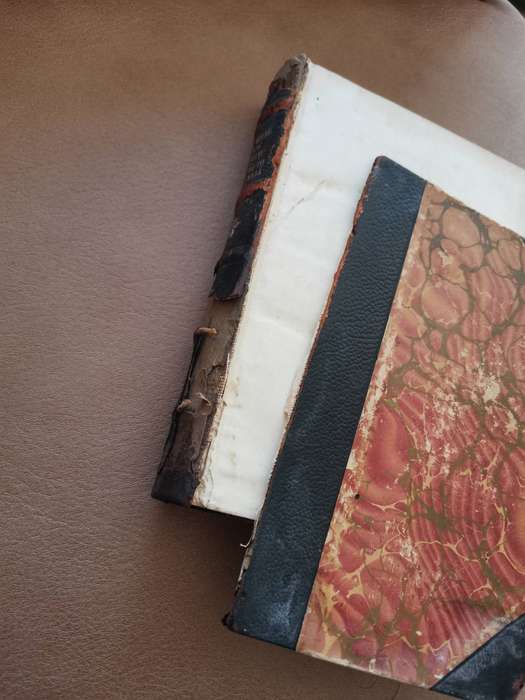 Rare 1880s the wide wide world by Elizabeth wetherell