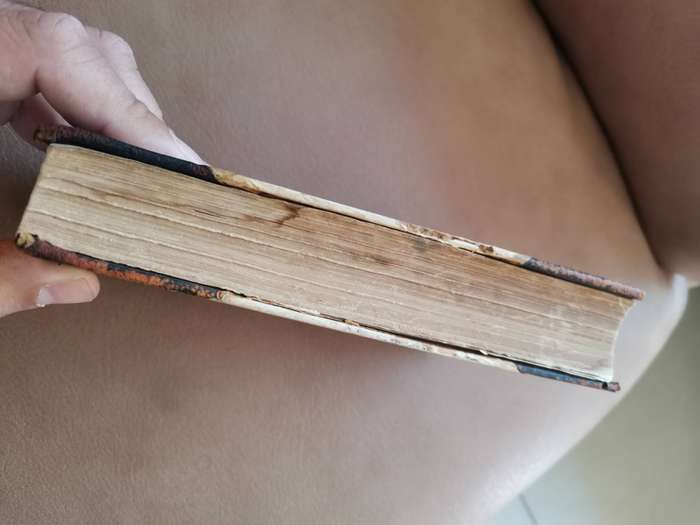 Rare 1880s the wide wide world by Elizabeth wetherell