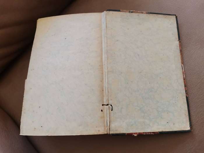Rare 1880s the wide wide world by Elizabeth wetherell