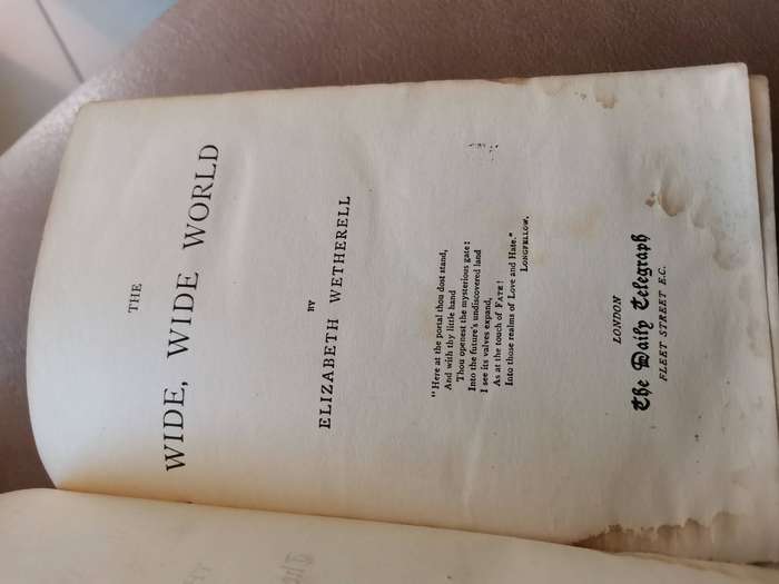 Rare 1880s the wide wide world by Elizabeth wetherell