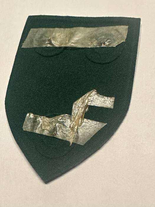 SAPS ABS-ISD Tupper shoulder badge