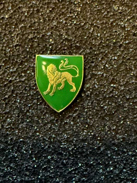 Hillcrest Commando Pin SADF