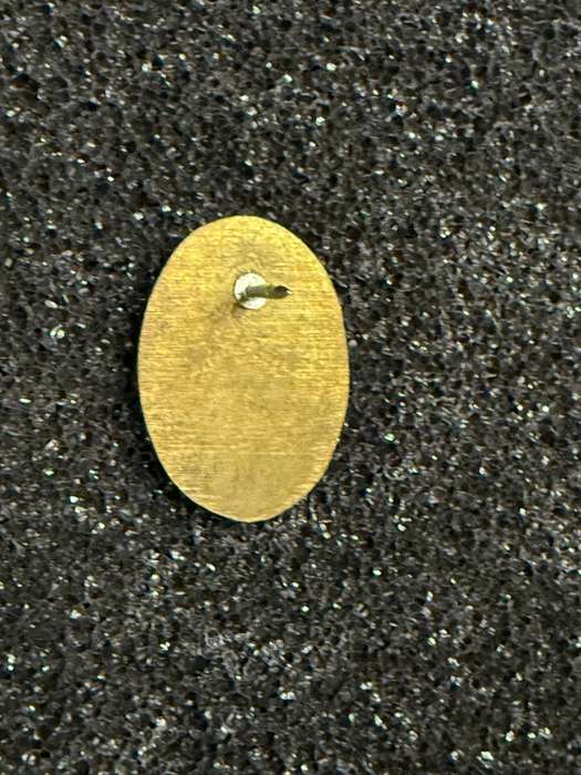 SADF Army College Instructors Badge - Pin