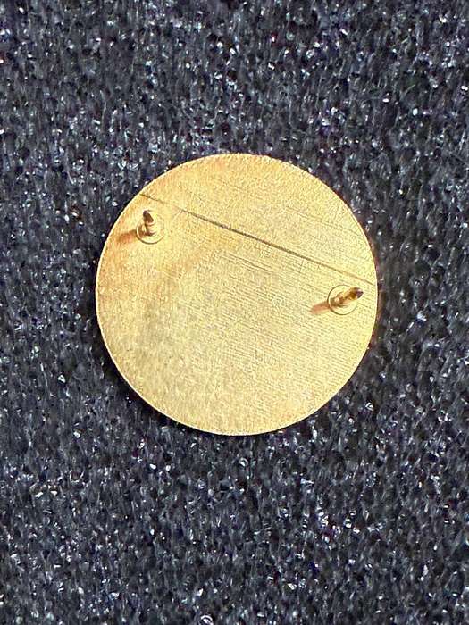 South African Military Health Service Enrolled Nurse badge (SA Medical Corps / SAMC