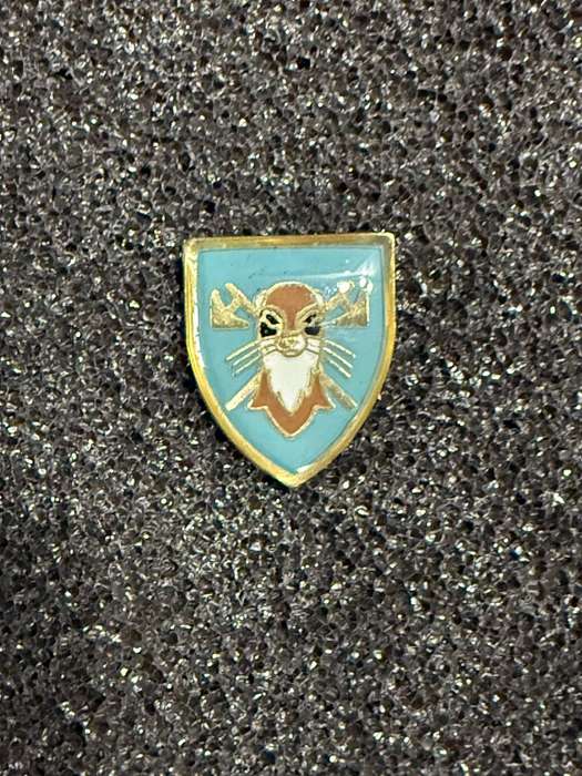SADF 115 Battalion Pin