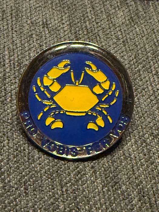 Knysna Commando Beret Badge