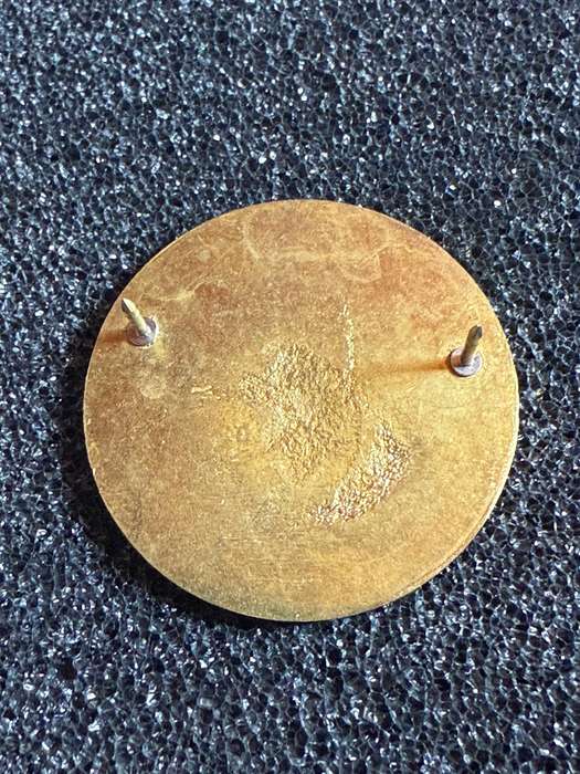 Dog Handlers Qualification Breast Badge Bophuthatswana SADF