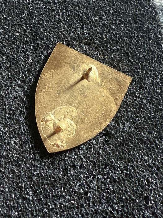SADF Qualified Tracker Badge