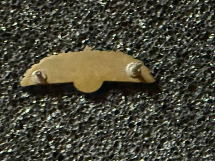 SAS Wing  Pin