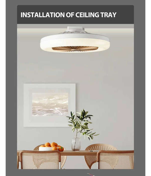 Ceiling Fan Light-Aromatherapy
