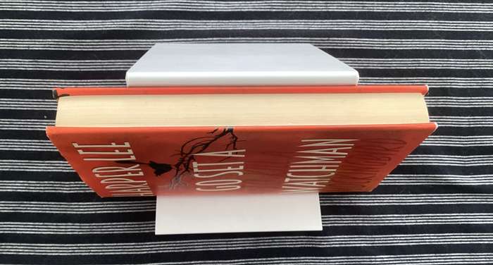 GO SET A WATCHMAN by Harper Lee. Hardcover in a very good condition.