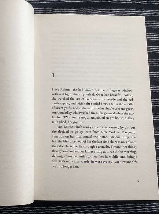 GO SET A WATCHMAN by Harper Lee. Hardcover in a very good condition.