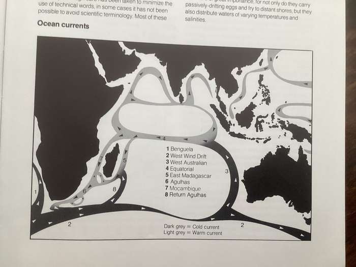 A Guide to The Common Sea Fishes of Southern Africa, by Rudy van der Elst. Hardcover.