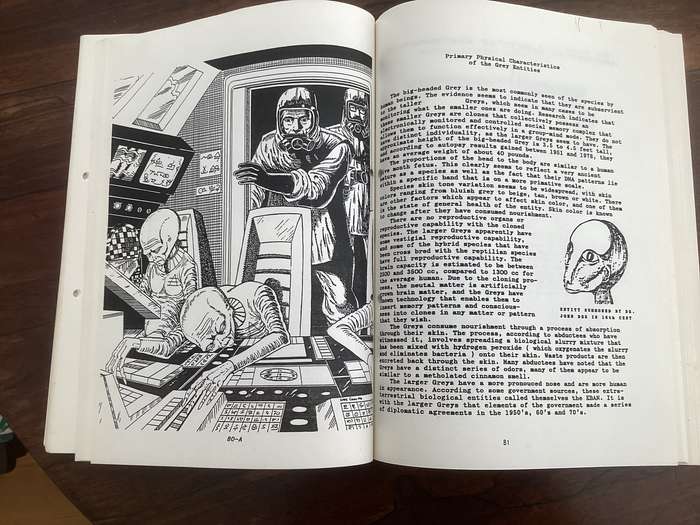 Aliens amongst us - Matrix 3 by renowned researcher, Valerian Valdamar. Softcover/boards. V.G.