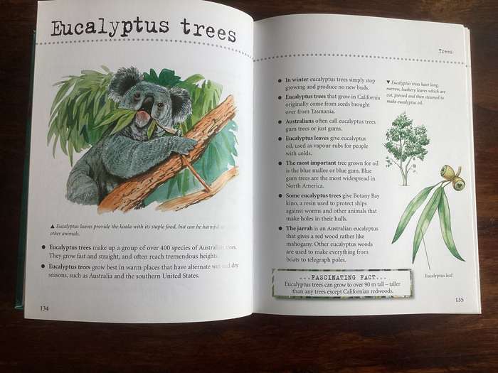 Natural World. A fascinating insight for children of all ages (5 - 95).