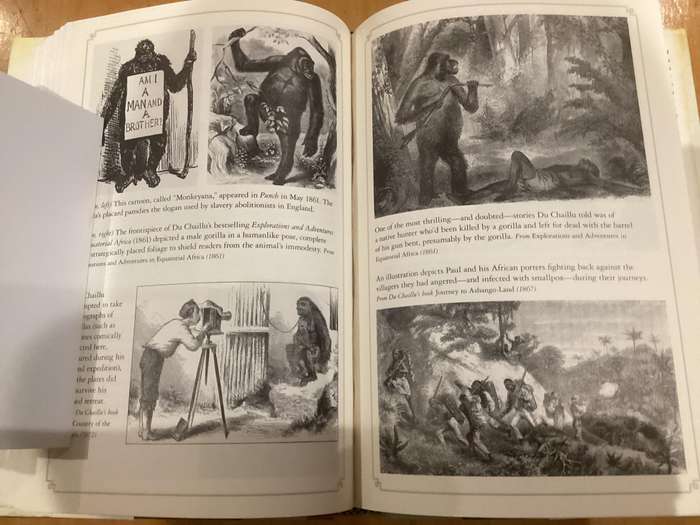 BETWEEN MAN and BEAST. True Story, by Monte Reel. Hardcover in a VG+ condition.