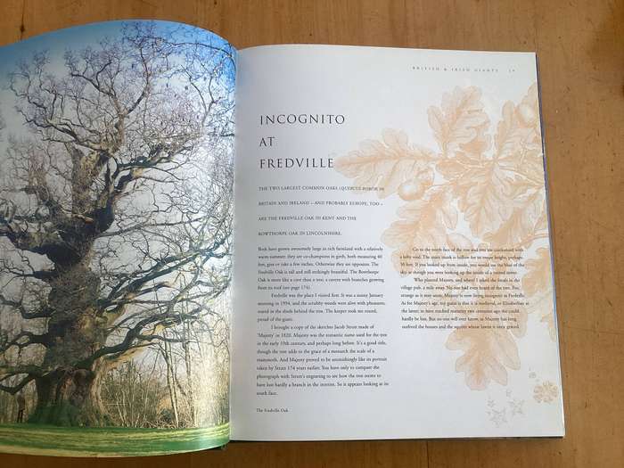 Meetings with REMARKABLE TREES. by Thomas Packenham. Hardcover. VGood condition.