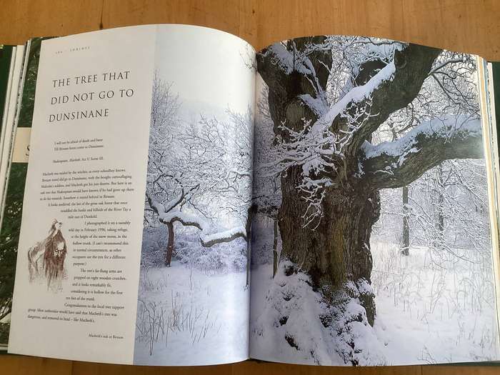 Meetings with REMARKABLE TREES. by Thomas Packenham. Hardcover. VGood condition.