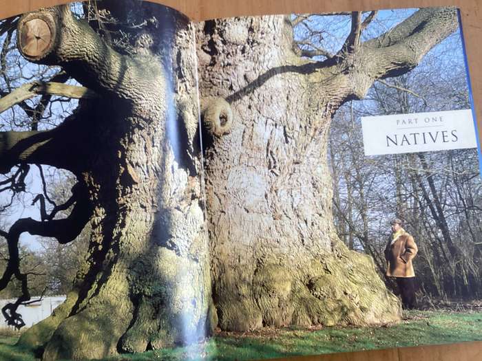 Meetings with REMARKABLE TREES. by Thomas Packenham. Hardcover. VGood condition.