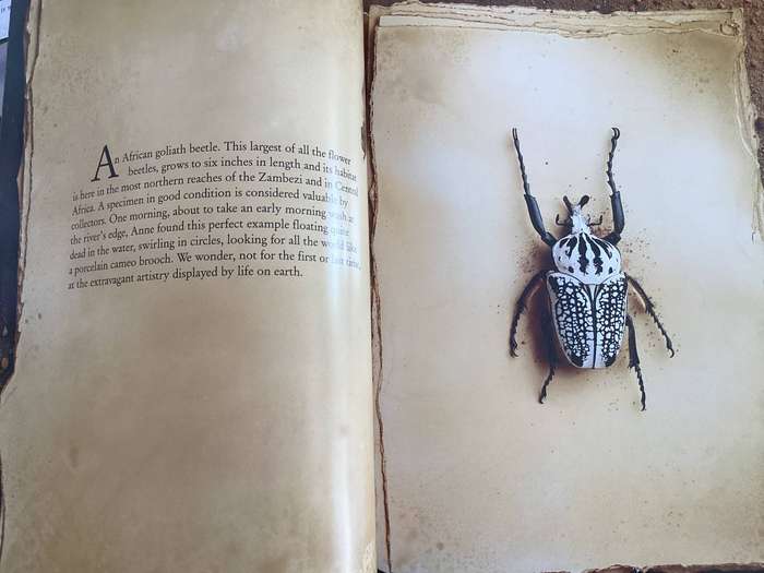 AN AFRICAN JOURNAL by HORST KLEMM