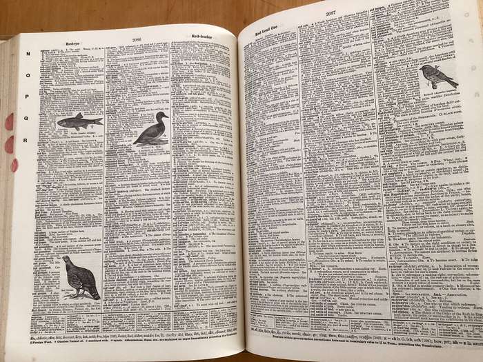 WEBSTERS NEW INTERNATIONAL DICTIONARY (1948). Volumes 1 & 2. Good+ condition.